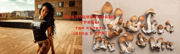 синтетический гашиш Кулебаки