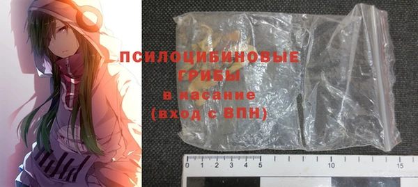 spice Новосибирск