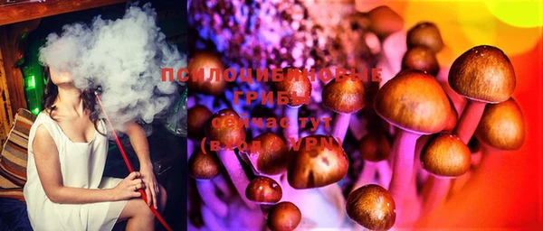 винт Куйбышев
