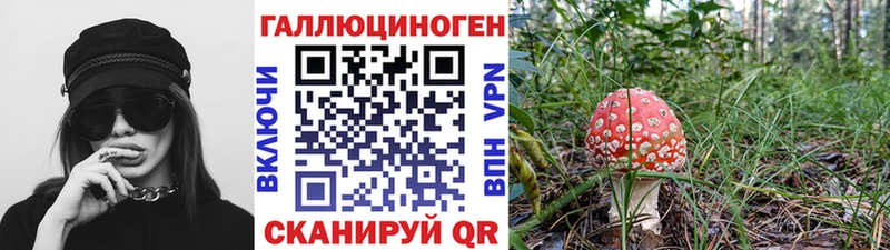 Галлюциногенные грибы Psilocybine cubensis  Купить закладки  Нерчинск 